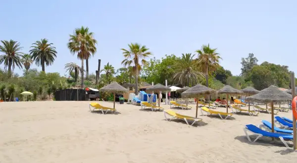 Plaża w Marbelli z leżakami i parasolami pod palmami. Słoneczny dzień zaprasza do odpoczynku.