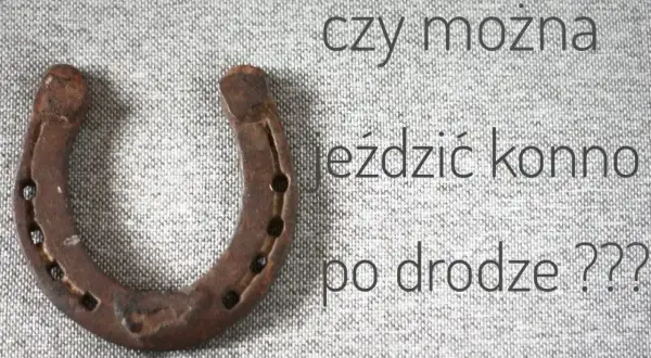 Podkowa na szarym tle. Pytanie brzmi: czy można jeździć konno po mieście?