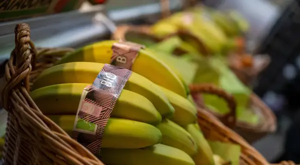 En korg med ekologiska bananer, perfekt för frukt på jobbet.