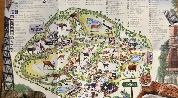 Wildpark Schwarze Berge: Infos, Preise, Öffnungszeiten & Tipps