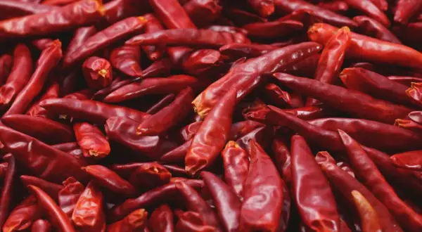 Góra suszonych, czerwonych papryczek chili, pełnych kapsaicyny, gotowych do dodania ostrości.