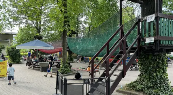 Park linowy Poznań dla dzieci: Który wybrać? Porównanie ofert
