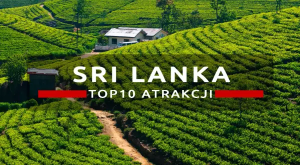 Zielone tarasy plantacji herbaty na Cejlonie, Sri Lanka. W tle domki i droga.