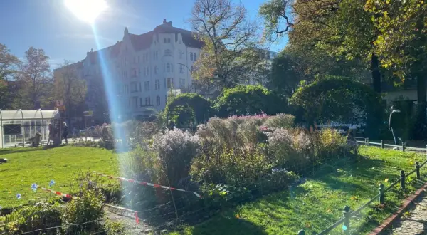 Grüner Park mit Blumenbeeten, Bäumen und einem Altbau unter strahlender Sonne.