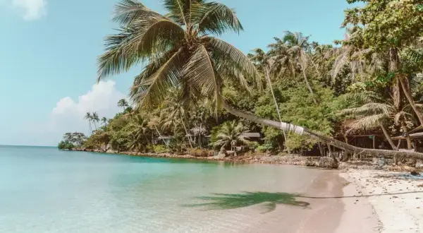 Rajska plaża z palmami i turkusową wodą. Zastanawiasz się, ile się leci do Tajlandii, by poczuć taki spokój?