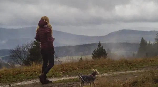 Góry z psem: przewodnik po przepisach, trasach i przygotowaniu