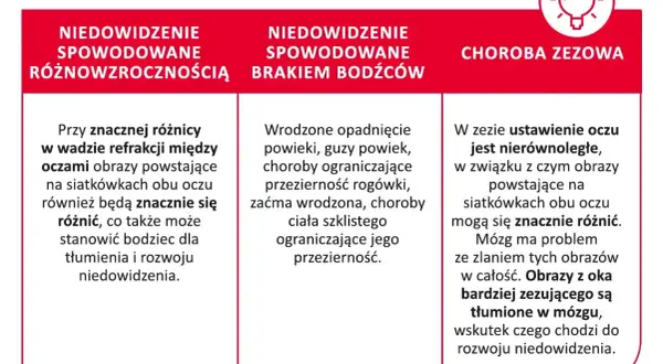 Niedowidzenie może być spowodowane różnicą wad refrakcji, brakiem bodźców lub zeza. Obrazy z oka zezującego są tłumione w mózgu.