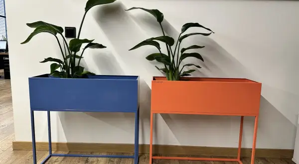 Jaki kwietnik do salonu? Wybierz idealny: style, materiały, porady