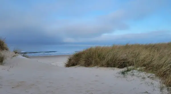 Piaszczyste wydmy porośnięte trawą na plaży w Swarzewie. Spokojne morze i błękitne niebo z chmurami.