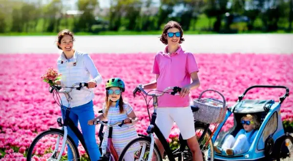 Familia disfrutando de un paseo en bici por campos de tulipanes rosas en Holanda.