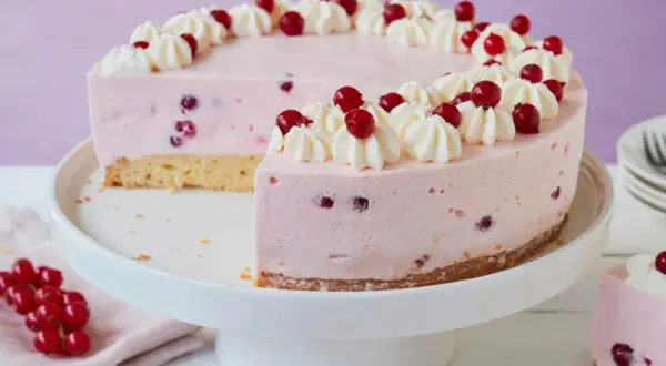 Eine köstliche Johannisbeertorte mit Joghurt, verziert mit Sahnetuffs und frischen roten Johannisbeeren.