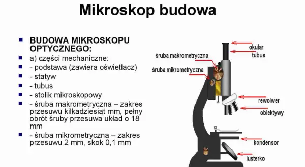 Do czego służy stolik w mikroskopie? Odkryj jego kluczowe funkcje
