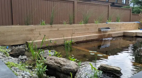 Un bassin à poissons aménagé dans un ancien espace de piscine, avec une cascade en acier inoxydable et des plantes aquatiques.