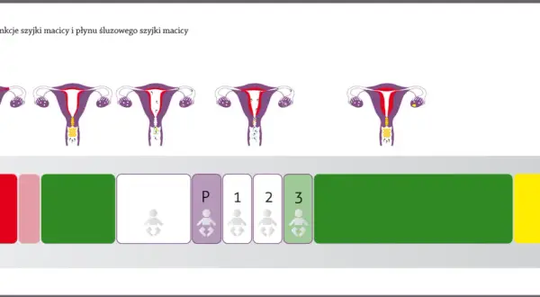Objawy powrotu płodności po porodzie - co warto wiedzieć o cyklu menstruacyjnym