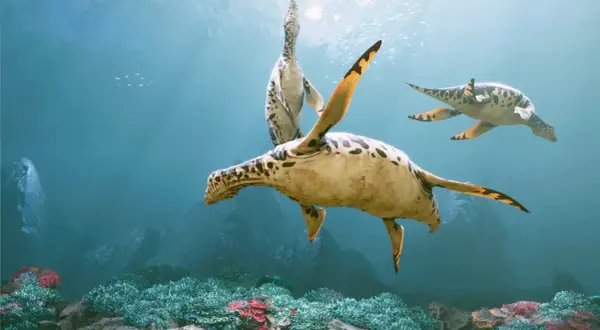 Oceanarium Małopolska - atrakcje, godziny otwarcia i wyjątkowe doświadczenia