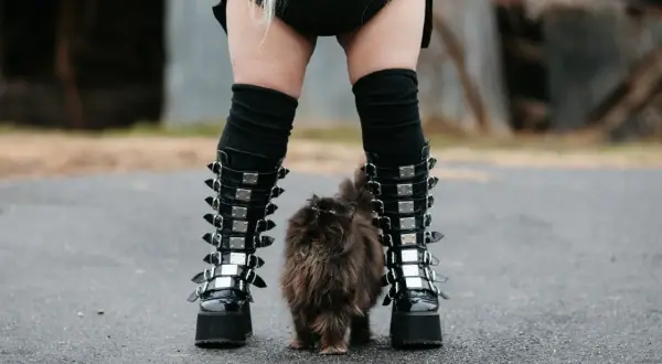 Puszysty kotek między butami w stylu emo.