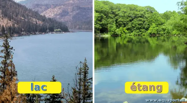 Comparaison visuelle : un grand lac bordé de montagnes et d'arbres, face à un étang plus petit entouré de verdure.
