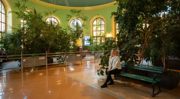 Kudowa-Zdrój wieczorem: relaks w palmiarni wśród bujnej zieleni. Idealne miejsce na spokojny odpoczynek po dniu pełnym wrażeń.