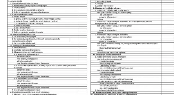 Bilans firmy: aktywa trwałe i obrotowe oraz pasywa (zapasy, należności, inwestycje, rozliczenia).