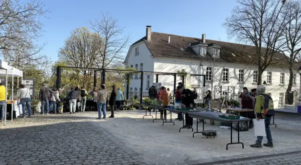 Menschen besuchen einen Markt mit Pflanzen und Ständen vor einem weißen Gebäude. Ein schönes Beispiel für Veranstaltungen in Bergisch Gladbach.