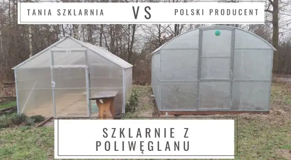 Jakiej firmy szklarnia z poliwęglanu? Porównanie najlepszych modeli