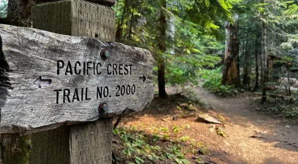 Gammal träskylt visar "PACIFIC CREST TRAIL NO. 2000" med en pil. Skogsväg leder in i en grönskande skog.