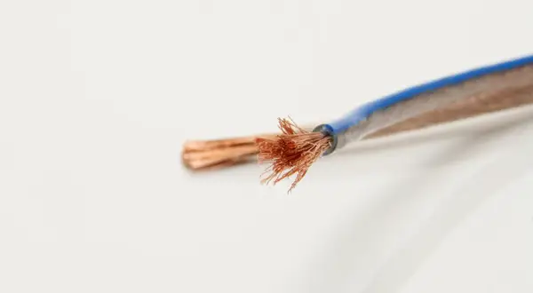 Rozplątane końcówki miedzianego kabla głośnikowego, z niebieską izolacją. Idealny do połączeń audio.
