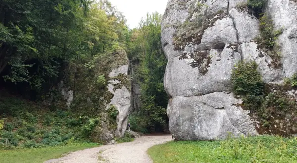 Kamieniste ścieżki wiodą przez skalne wąwozy na pogórzu, otoczone bujną zielenią i omszałymi skałami.