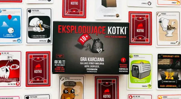 Jak grać w Kotki - proste zasady i strategie, które musisz znać