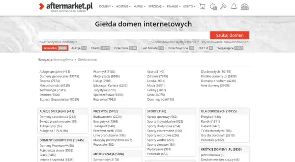 Wycena domeny internetowej: Jak poznać jej wartość i zarobić?