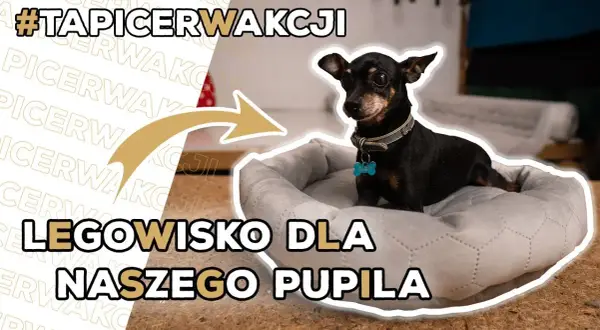 Legowisko dla psa z poduszki: Prosty DIY zrób to sam!