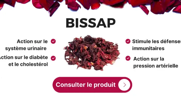 BISSAP, un ingrédient naturel aux multiples bienfaits : action sur le système urinaire, le diabète, le cholestérol, les défenses immunitaires et la pression artérielle.