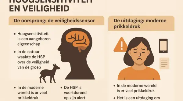 Een hoog gevoelig persoon (HSP) heeft een aangeboren veiligheidssensor. In de natuur waakte de HSP over de groep. Nu is er veel prikkeldruk.