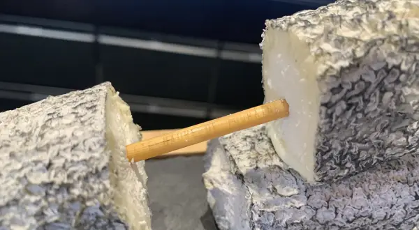 Deux morceaux de fromage de chèvre, un "tête de maure", sont reliés par un bâtonnet en bois.