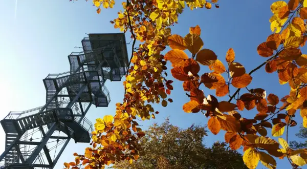 Aussichtsturm Rauen: Alle Infos für Ihren Ausflug | Wandern & Aussicht