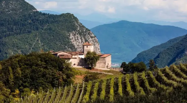 Castello medievale su una collina, circondato da vigneti e montagne, tipico dei paesi Val di Non.