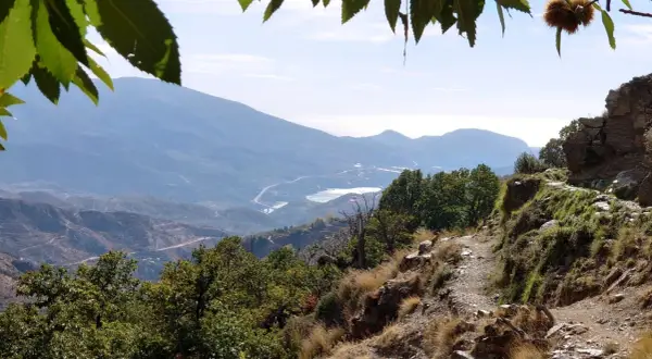 Sendero rocoso con vistas a montañas y un embalse, ideal para rutas senderismo Alpujarra.