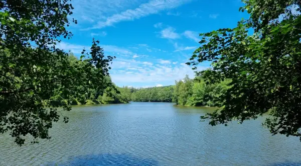 Ein ruhiger fluss im Bergischen Land, umrahmt von üppigem Grün unter einem strahlend blauen Himmel mit weißen Wolken.
