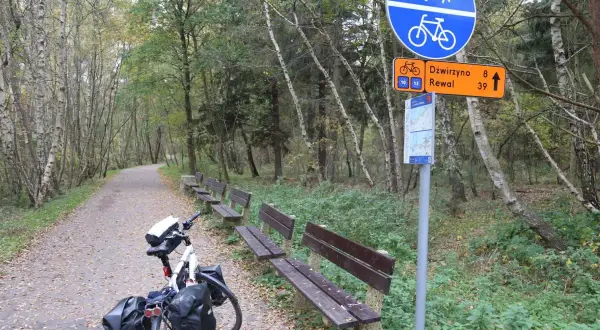 Ścieżka rowerowa Velo Baltica w jesiennym lesie. Rower z sakwami czeka obok ławek.