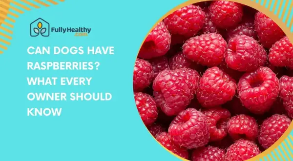 Close-up of ripe raspberries with text asking "Can dogs have raspberries? What every owner should know.