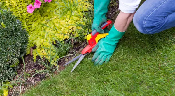 Grüne Handschuhe und eine Gartenschere für saubere Rasenkante Ideen. Perfekt für den gepflegten Garten.