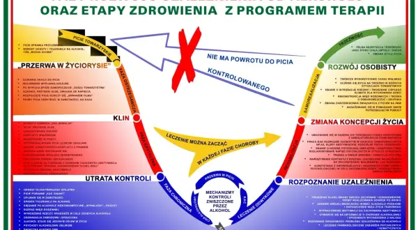 Schemat faz rozwoju uzależnienia od alkoholu i etapów zdrowienia. Terapia alkoholowa online jest kluczowa w procesie zdrowienia.