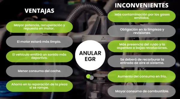 Anular EGR: ventajas como mayor potencia y ahorro, inconvenientes como más contaminación.