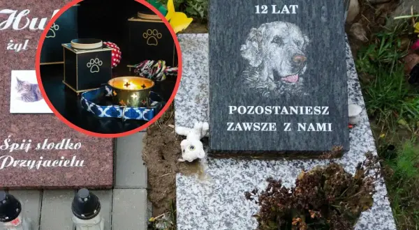 Nagrobek psa z imieniem "Biszkopt", urną, świecą i zabawkami.