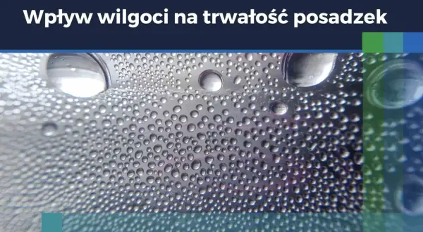 Krople wody na powierzchni, symbolizujące wilgoć. Dowiedz się, jak zmierzyć wilgotność w domu, by chronić posadzki.