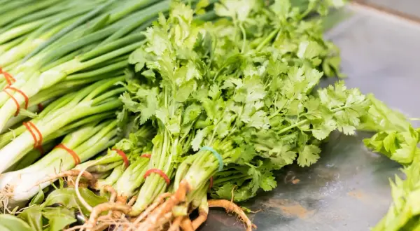 Pęczek świeżej kolendry, aromatycznej przyprawy, leży obok zielonej cebulki.