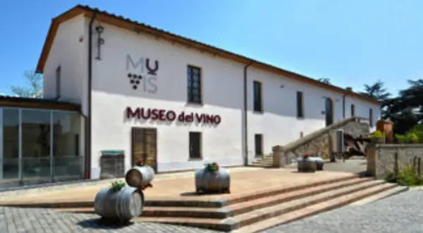 Museo del Vino a Castiglione in Teverina: cosa vedere per un'esperienza enogastronomica indimenticabile.