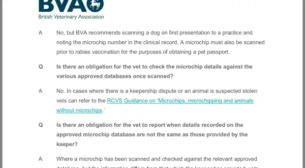 British Veterinary Association guidance on scanning dogs and the need to update dog microchip details for rabies vaccinations and pet passports.