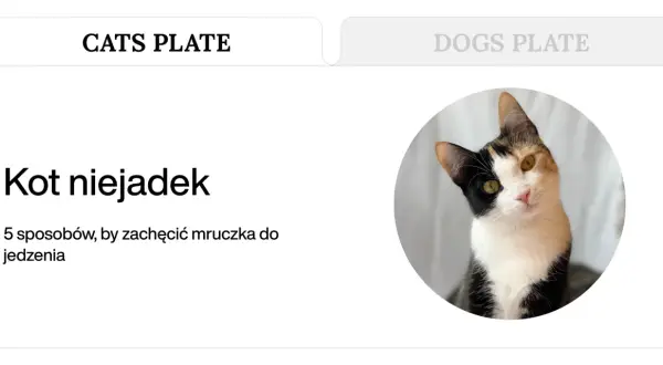 Trójkolorowy kotek z zaciekawieniem spogląda na czytelnika. Artykuł "Kot niejadek" podpowiada, jak znaleźć dobrą karmę dla kota niejadka.