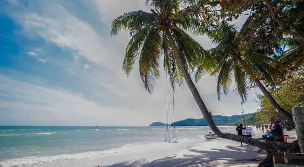 Huśtawka pod palmą na plaży, idealne miejsce na relaks wśród atrakcji Phu Quoc. W tle morze i góry.